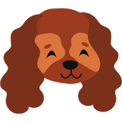 Spaniel illustration